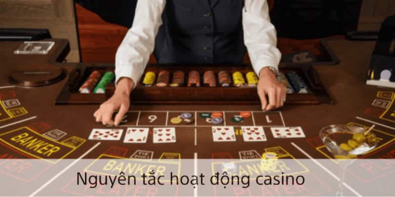 Casino oxbet - Kỷ nguyên mới của cá cược online