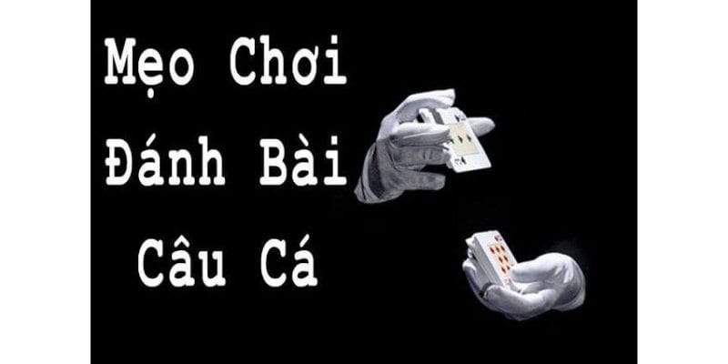 Game Bài Câu Cá Oxbet-Bộ Môn Được Nhiều Người Chơi Yêu Thích